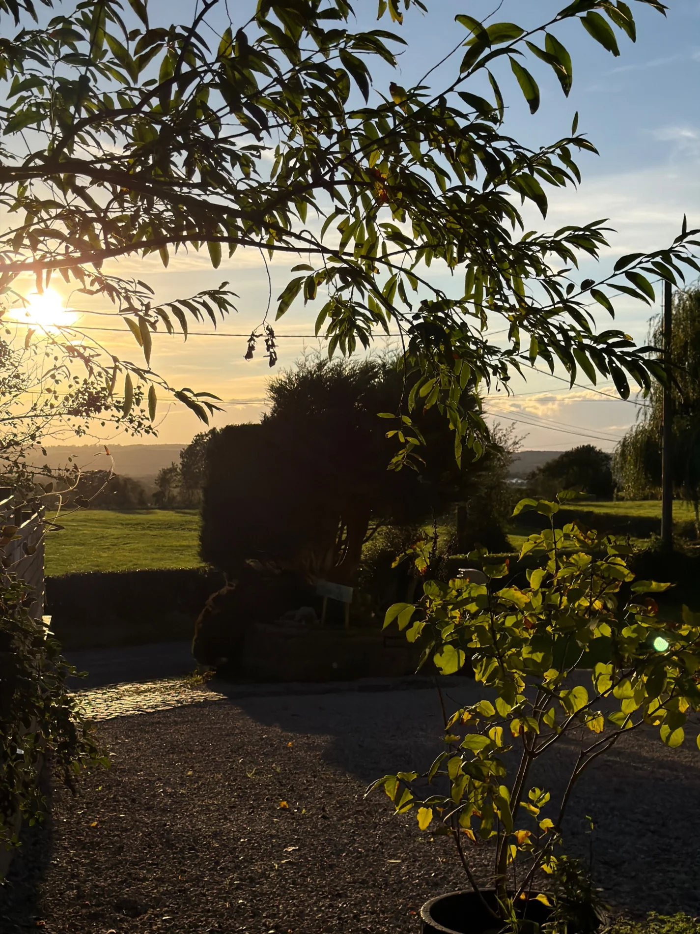Golden-hour countryside view framed by leafy trees near Nordic Garden Spa Retreat